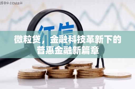 芦淞微粒贷，金融科技革新下的普惠金融新篇章
