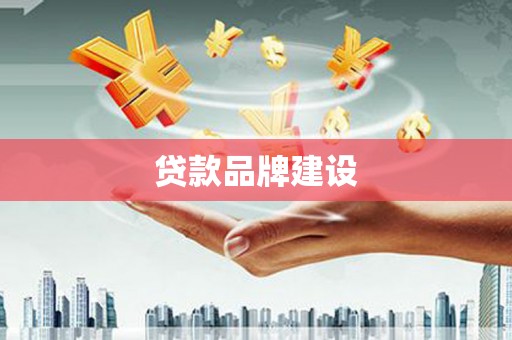 芦淞贷款品牌建设