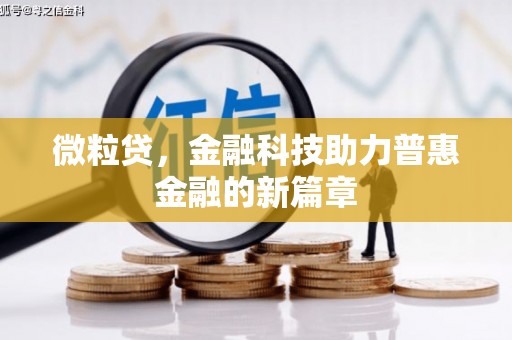 芦淞微粒贷，金融科技助力普惠金融的新篇章