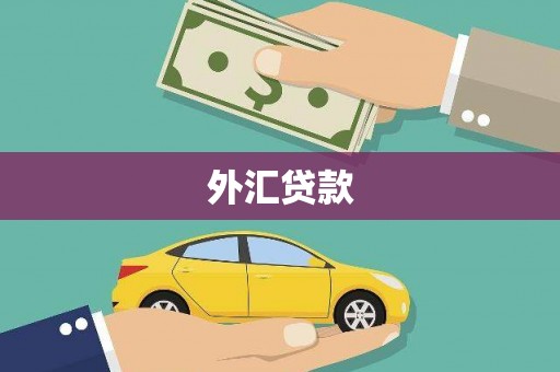 芦淞外汇贷款