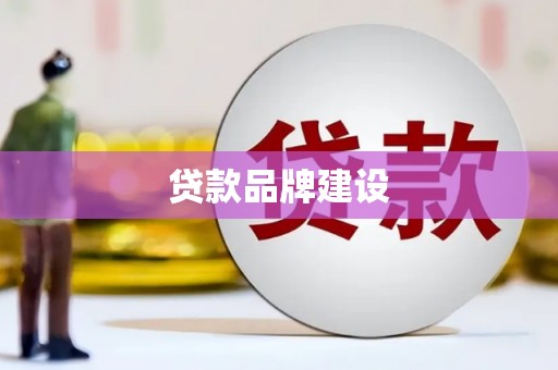 芦淞贷款品牌建设