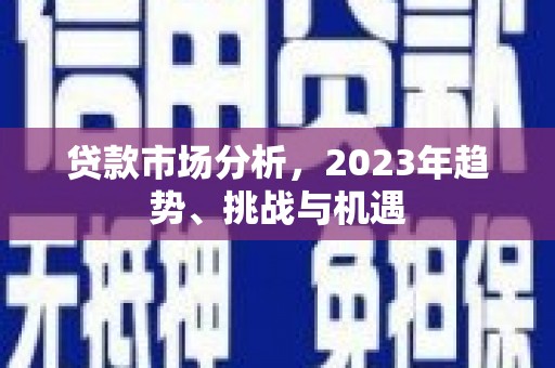芦淞贷款市场分析，2023年趋势、挑战与机遇