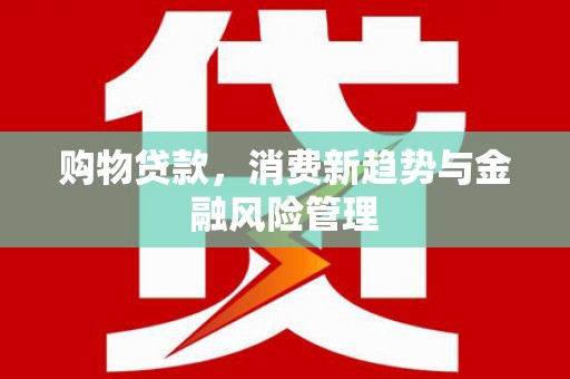 芦淞购物贷款，消费新趋势与金融风险管理
