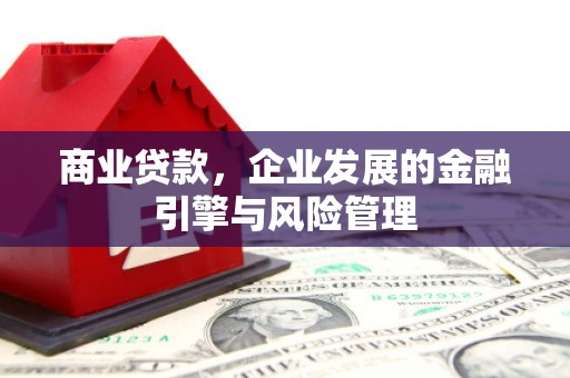 芦淞商业贷款，企业发展的金融引擎与风险管理