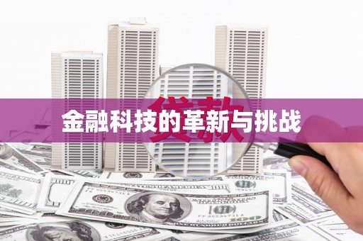 芦淞金融科技的革新与挑战