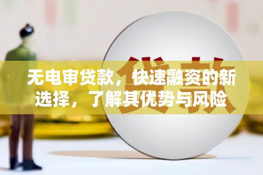 芦淞无电审贷款，快速融资的新选择，了解其优势与风险