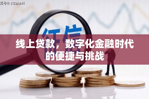 芦淞线上贷款，数字化金融时代的便捷与挑战