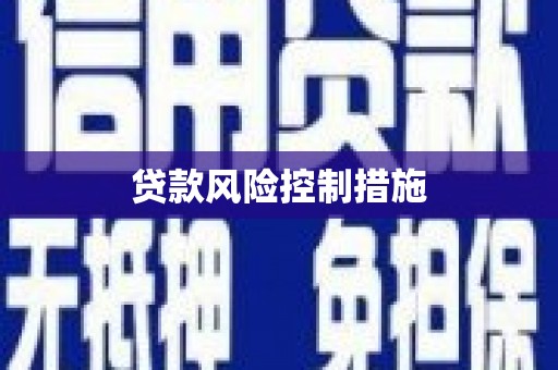 芦淞贷款风险控制措施