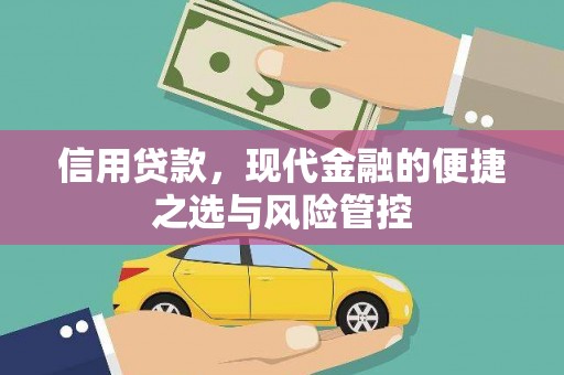 芦淞信用贷款，现代金融的便捷之选与风险管控