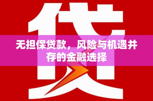 芦淞无担保贷款，风险与机遇并存的金融选择