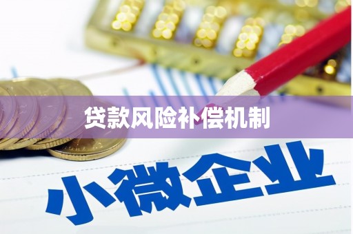 芦淞贷款风险补偿机制