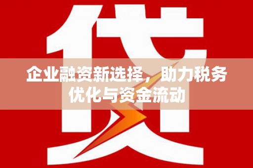 芦淞企业融资新选择，助力税务优化与资金流动