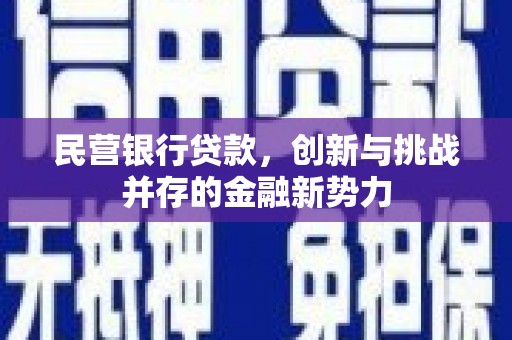 芦淞民营银行贷款，创新与挑战并存的金融新势力