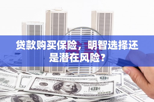 芦淞贷款购买保险，明智选择还是潜在风险？
