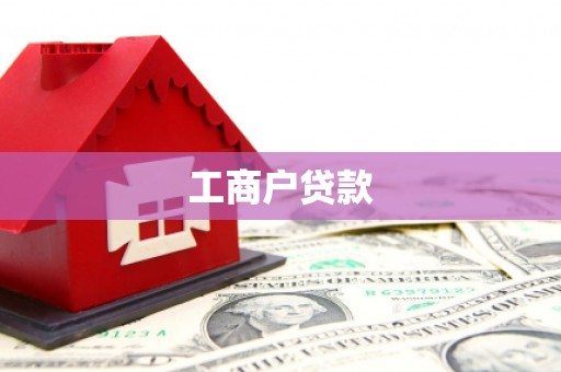芦淞工商户贷款