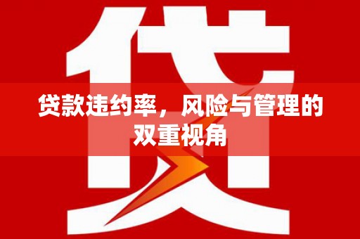 芦淞贷款违约率，风险与管理的双重视角