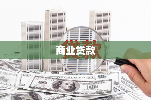 芦淞商业贷款