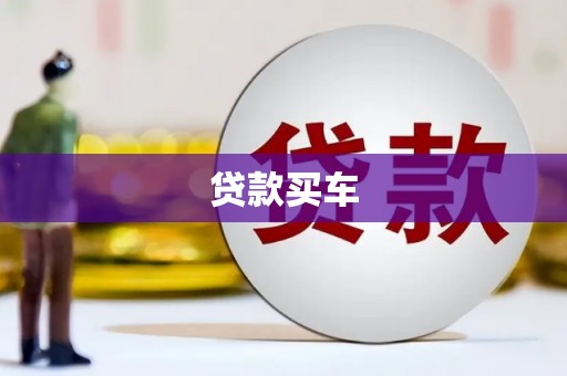 芦淞贷款买车