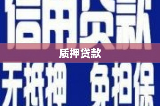 芦淞质押贷款