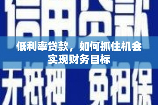 芦淞低利率贷款，如何抓住机会实现财务目标