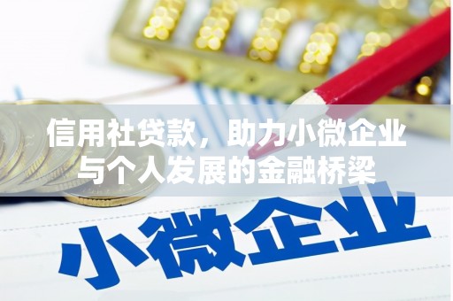 芦淞信用社贷款，助力小微企业与个人发展的金融桥梁