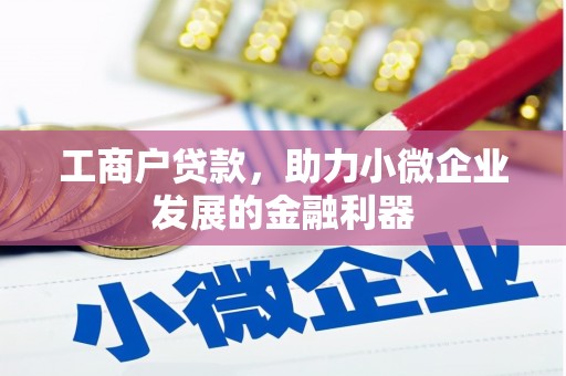 芦淞工商户贷款，助力小微企业发展的金融利器