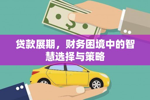 芦淞贷款展期，财务困境中的智慧选择与策略