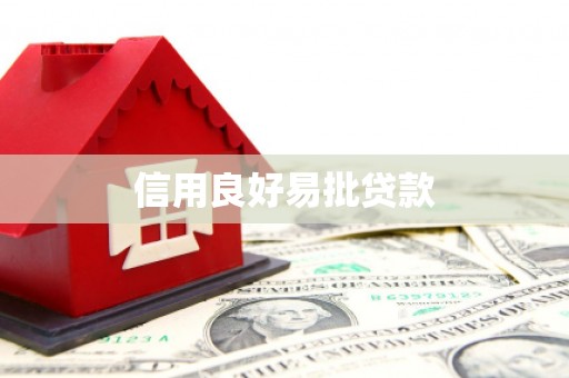 芦淞信用良好易批贷款