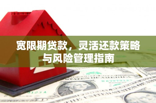 芦淞宽限期贷款，灵活还款策略与风险管理指南