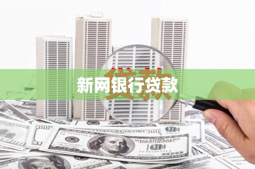 芦淞新网银行贷款