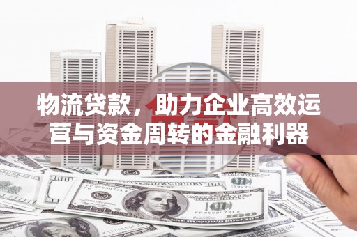 芦淞物流贷款，助力企业高效运营与资金周转的金融利器