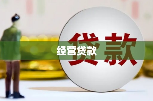 芦淞经营贷款
