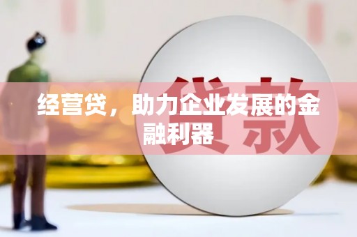 芦淞经营贷，助力企业发展的金融利器