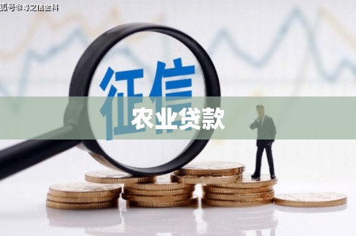 芦淞农业贷款