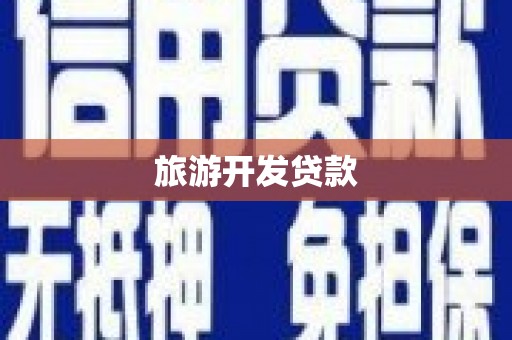 芦淞旅游开发贷款