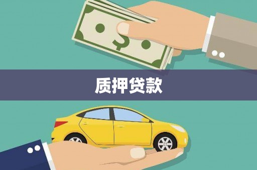 芦淞质押贷款