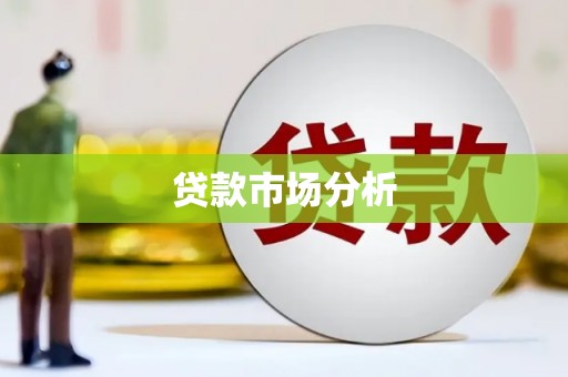 芦淞贷款市场分析