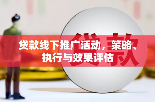 芦淞贷款线下推广活动，策略、执行与效果评估