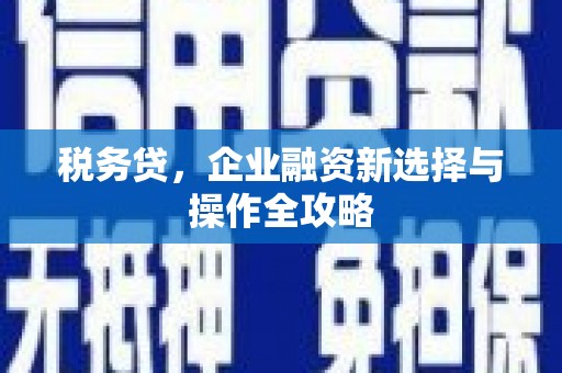 芦淞税务贷，企业融资新选择与操作全攻略