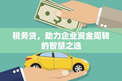 芦淞税务贷，助力企业资金周转的智慧之选