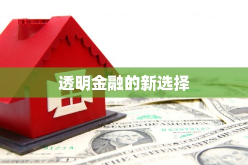 芦淞透明金融的新选择