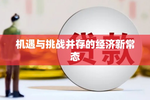芦淞机遇与挑战并存的经济新常态