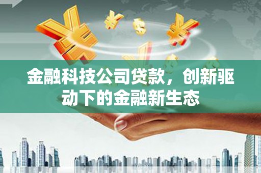 芦淞金融科技公司贷款，创新驱动下的金融新生态