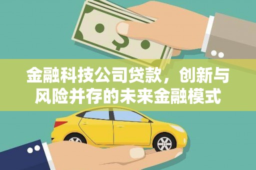 芦淞金融科技公司贷款，创新与风险并存的未来金融模式