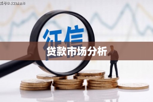 芦淞贷款市场分析