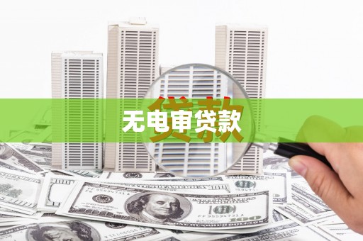 芦淞无电审贷款