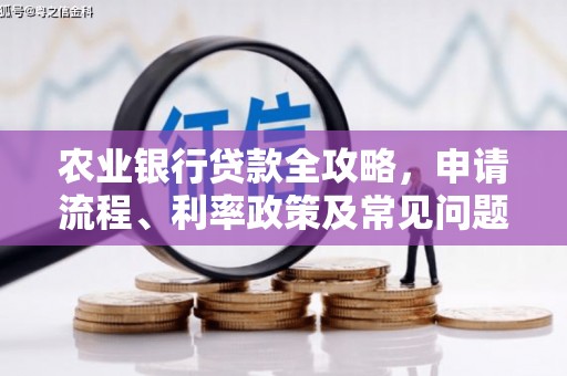 芦淞农业银行贷款全攻略，申请流程、利率政策及常见问题解析