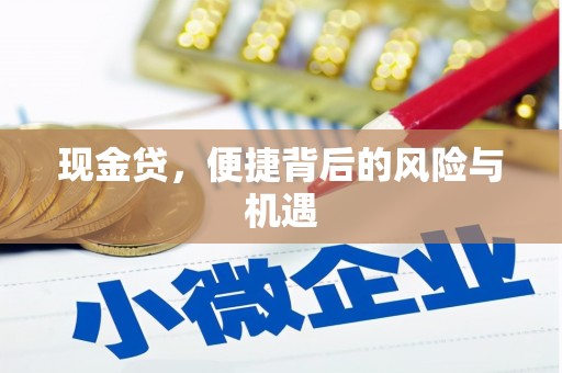 芦淞现金贷，便捷背后的风险与机遇