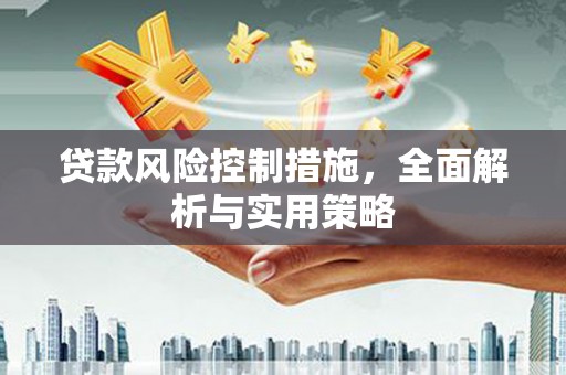 芦淞贷款风险控制措施，全面解析与实用策略