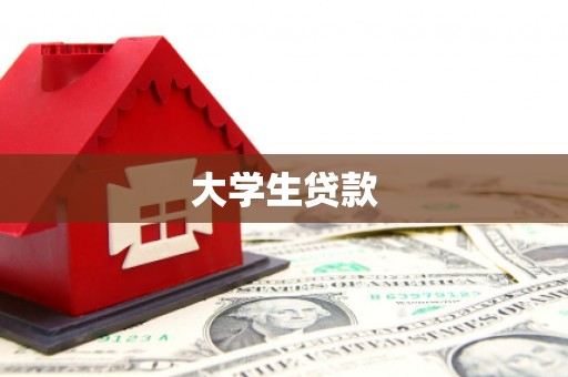 芦淞大学生贷款